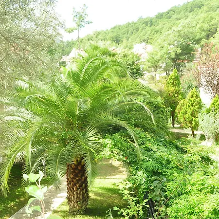 特美索全包酒店 - 仅限成人（16岁以上） 酒店 3*